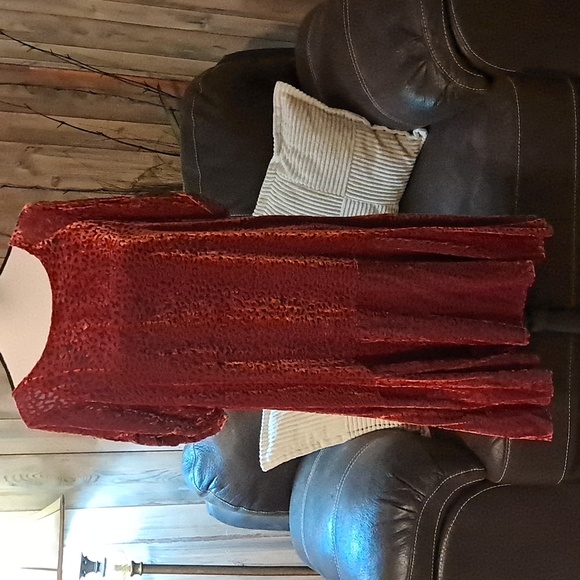 Johnny Was Jade Doris Red Blue Velvet Burnout Dress Scoop Neck Boho Size L - Picture 4 of 8